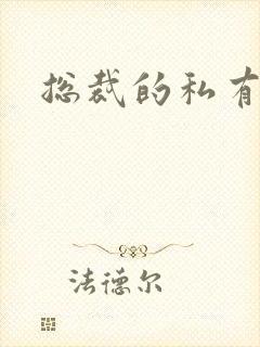 总裁的私有宝贝