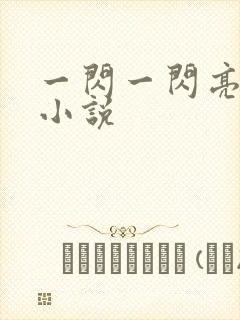 一闪一闪亮星星小说