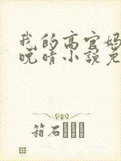 我的高官妈妈苏晚晴小说免费阅读