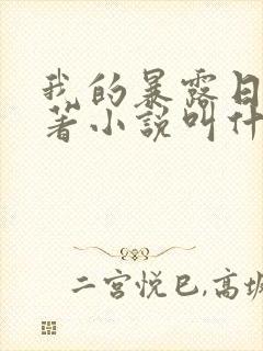 我的暴露日记原著小说叫什么