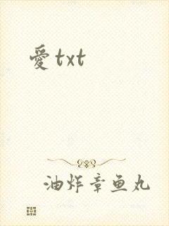 爱txt