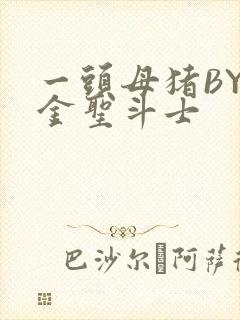 一头母猪BY黄金圣斗士