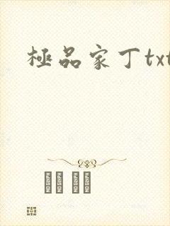 极品家丁txt