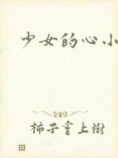 少女的心小说