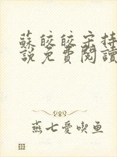 苏皎皎宋持的小说免费阅读