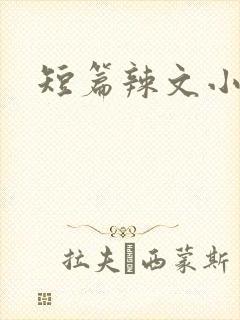 短篇辣文小说