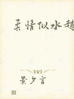 柔情似水赵雅儿