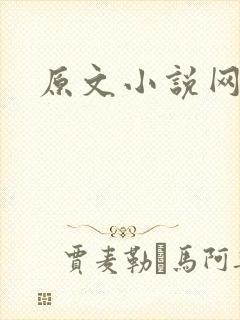 原文小说网