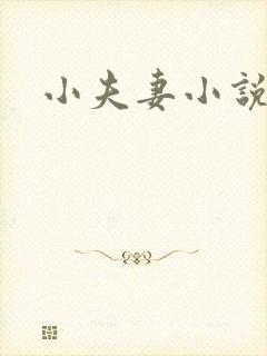 小夫妻小说