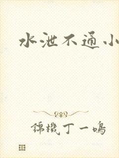 水泄不通小说