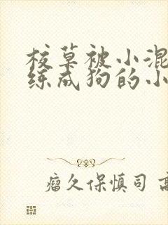 校草被小混混训练成狗的小说