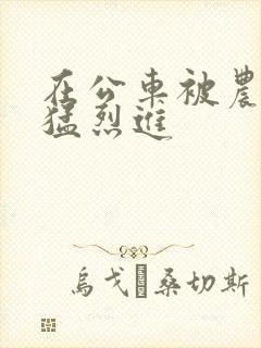 在公车被农民工猛烈进