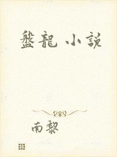盘龙 小说