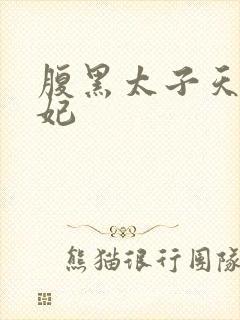 腹黑太子天降萌妃