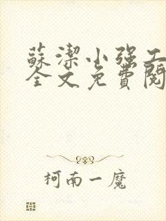 苏洁小强工地情全文免费阅读