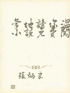 爹地请你温柔点小说免费阅读