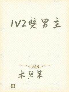 1V2双男主