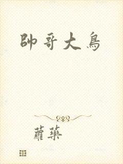 帅哥大鸟