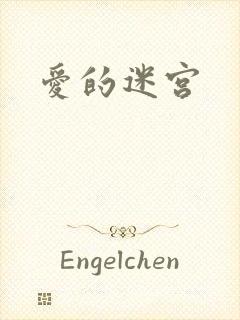 爱的迷宫