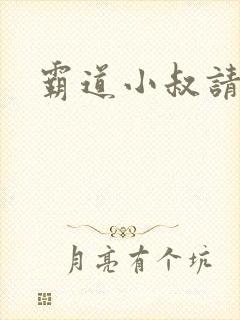 霸道小叔请轻撩