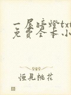 一屋暗灯txt免费全本小说电子书