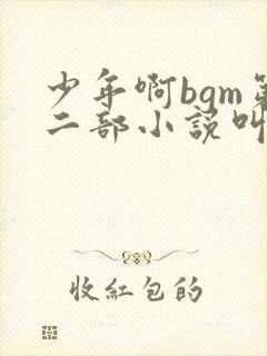 少年啊bgm第二部小说叫什么