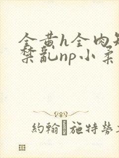 全黄h全肉短篇禁乱np小柔