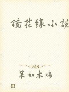 镜花缘小说