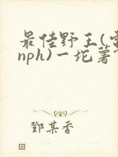 最佳野王(电竞nph)一坨薯饼