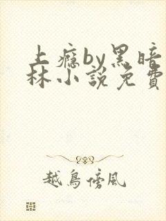 上瘾by黑暗森林小说免费