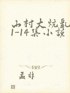 山村大炕乱肉续1-14集小说