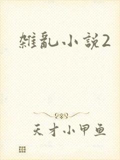 杂乱小说2