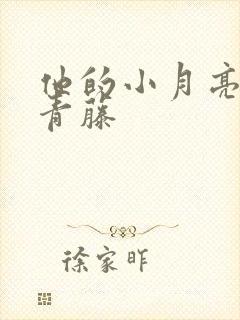 他的小月亮by青藤