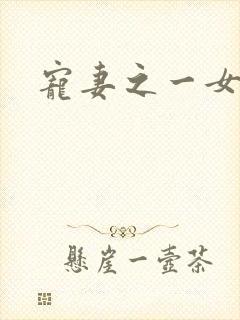 宠妻之一女二夫