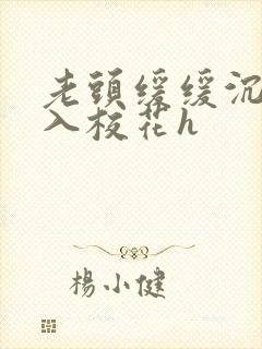 老头缓缓沉腰进入校花h