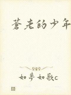 苍老的少年