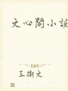文心阁小说