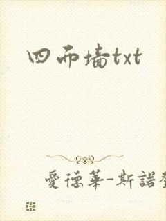 四面墙txt
