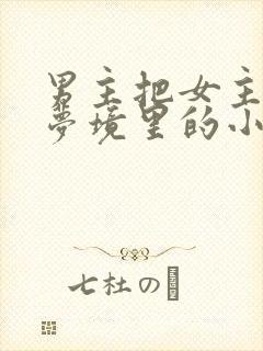 男主把女主拖进梦境里的小说