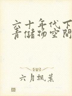 六十年代下乡知青储物空间