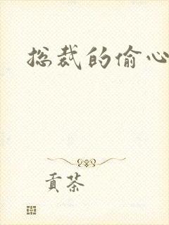 总裁的偷心娇妻