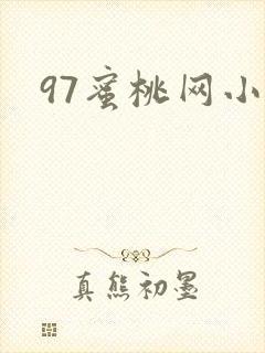 97蜜桃网小说