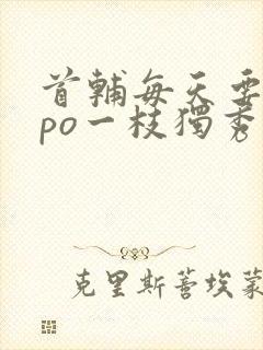 首辅每天要不够po一枝独秀全文