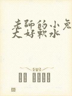 老师的小兔子好大好软水