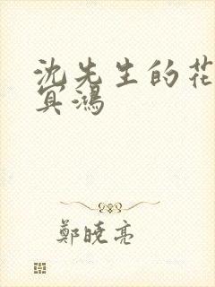 沈先生的花式调冥鸿