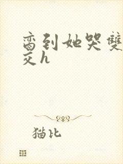 脔到她哭双根宫交h