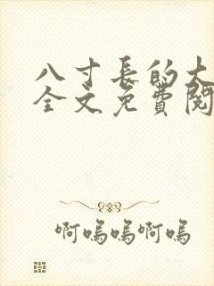 八寸长的大宝贝全文免费阅读