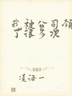 我被公司领导C了很多次