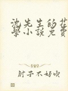 沈先生的花式教学小说免费