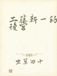 工藤新一的日本后宫